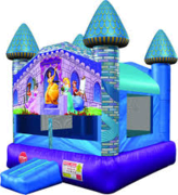 Enchanted Princess Castle Enchanted Princess Castle