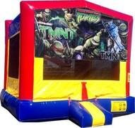 TMNT Wet Combo TMNT Wet Combo